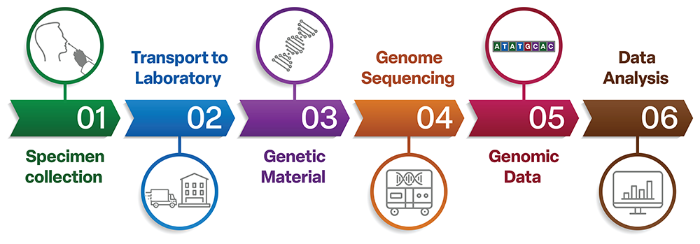 How Canada sequences SARS-CoV-2 genomes