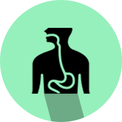 esophagus icon